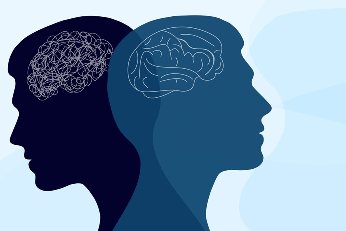 Explore Human Mind and Behavior with 13 Essential Psychology eBooks – Instant Download .ZIP Digital Files