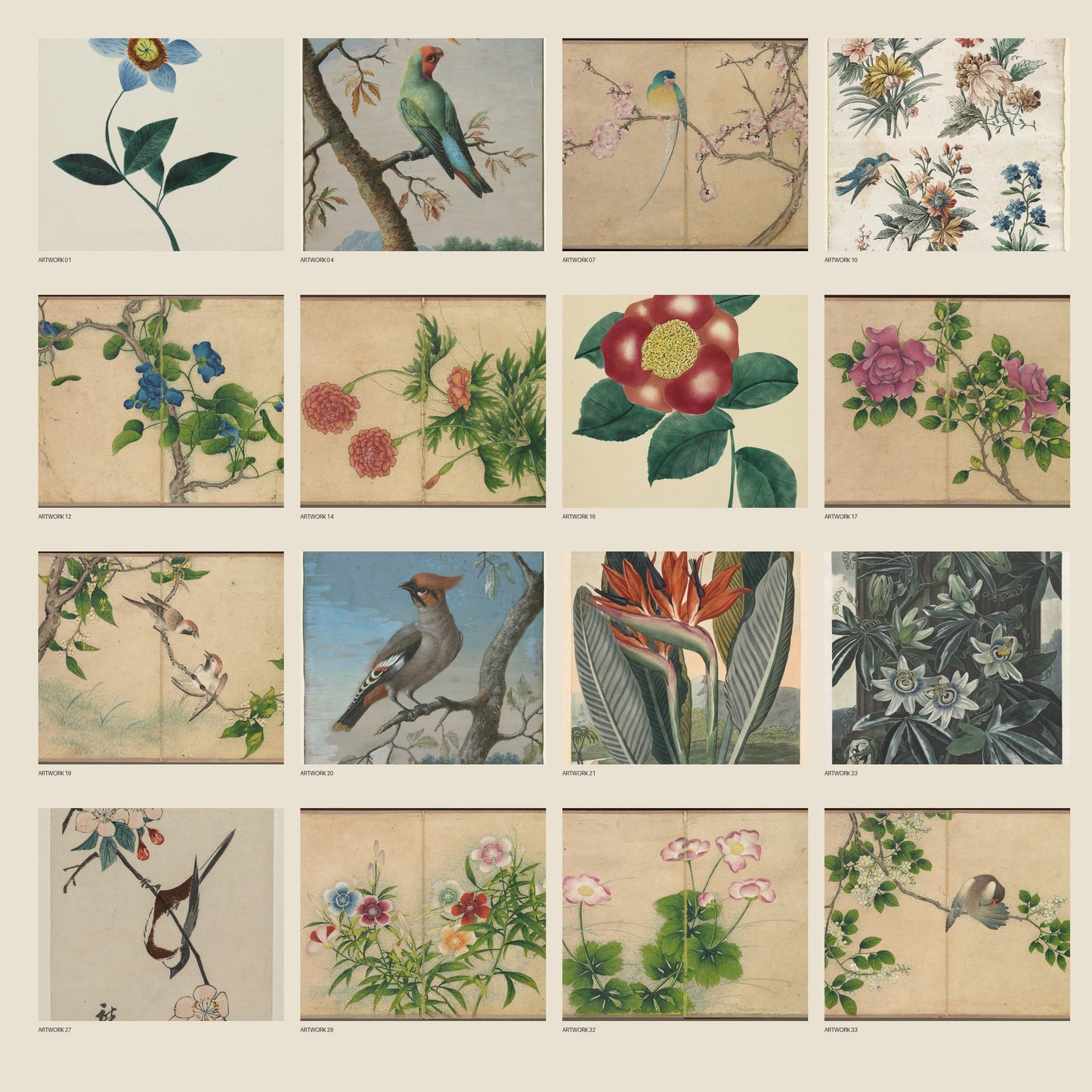 Preview of vintage bird and botanical artworks included in Birds and Blossoms