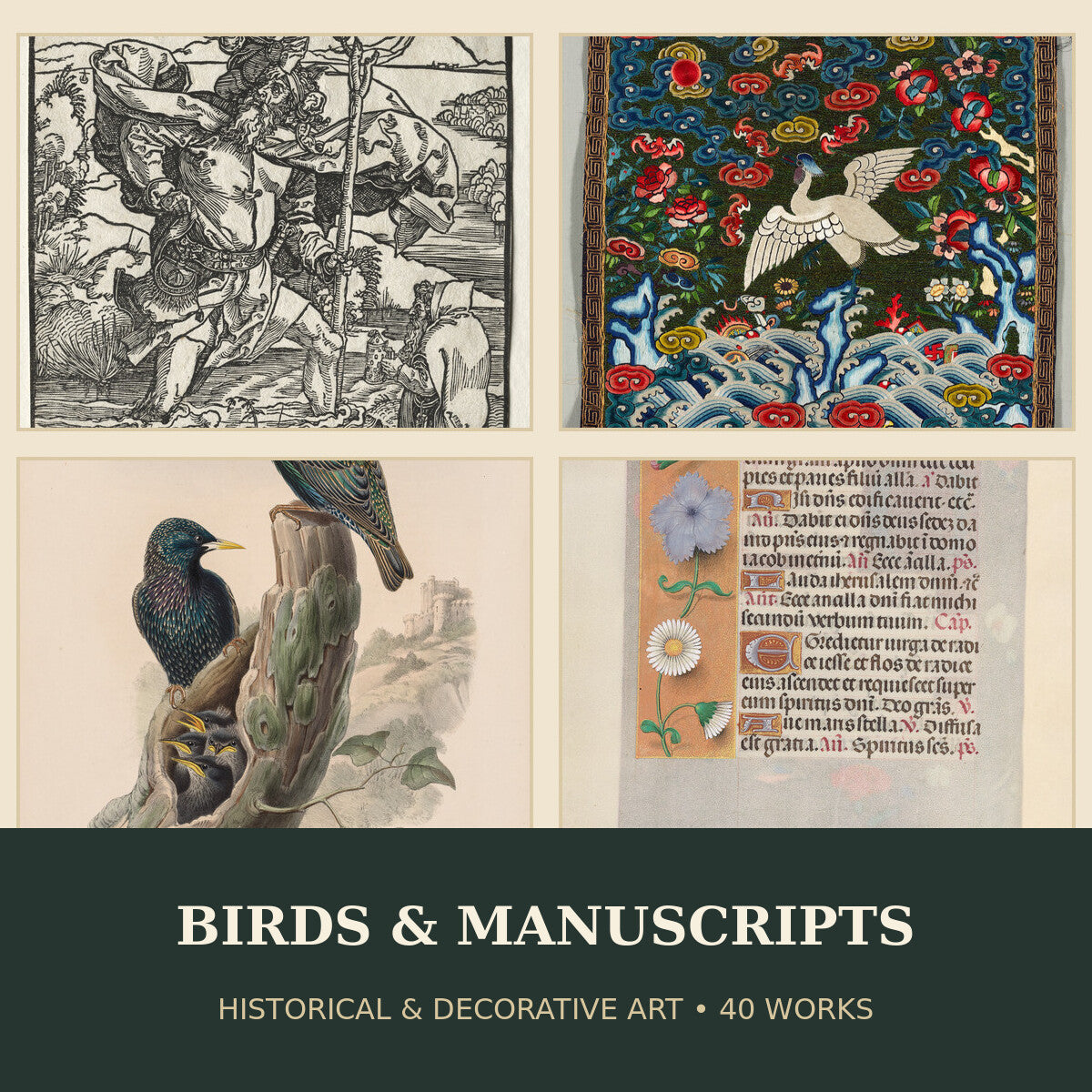 Collage of birds, illuminated manuscripts and decorative historical artworks included in the 40-work digital collection