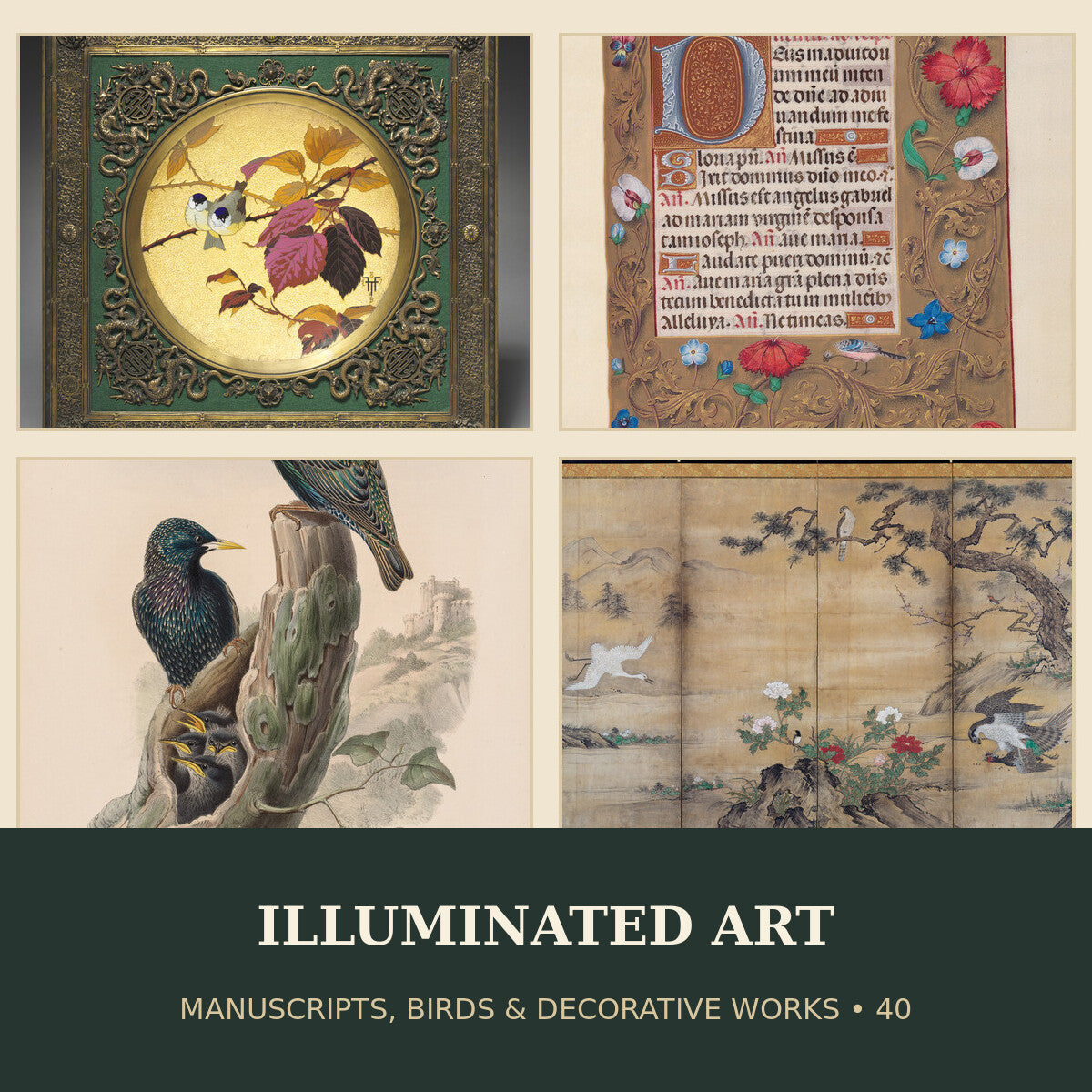 Collage of illuminated manuscripts, bird art and decorative works included in the 40-work digital collection