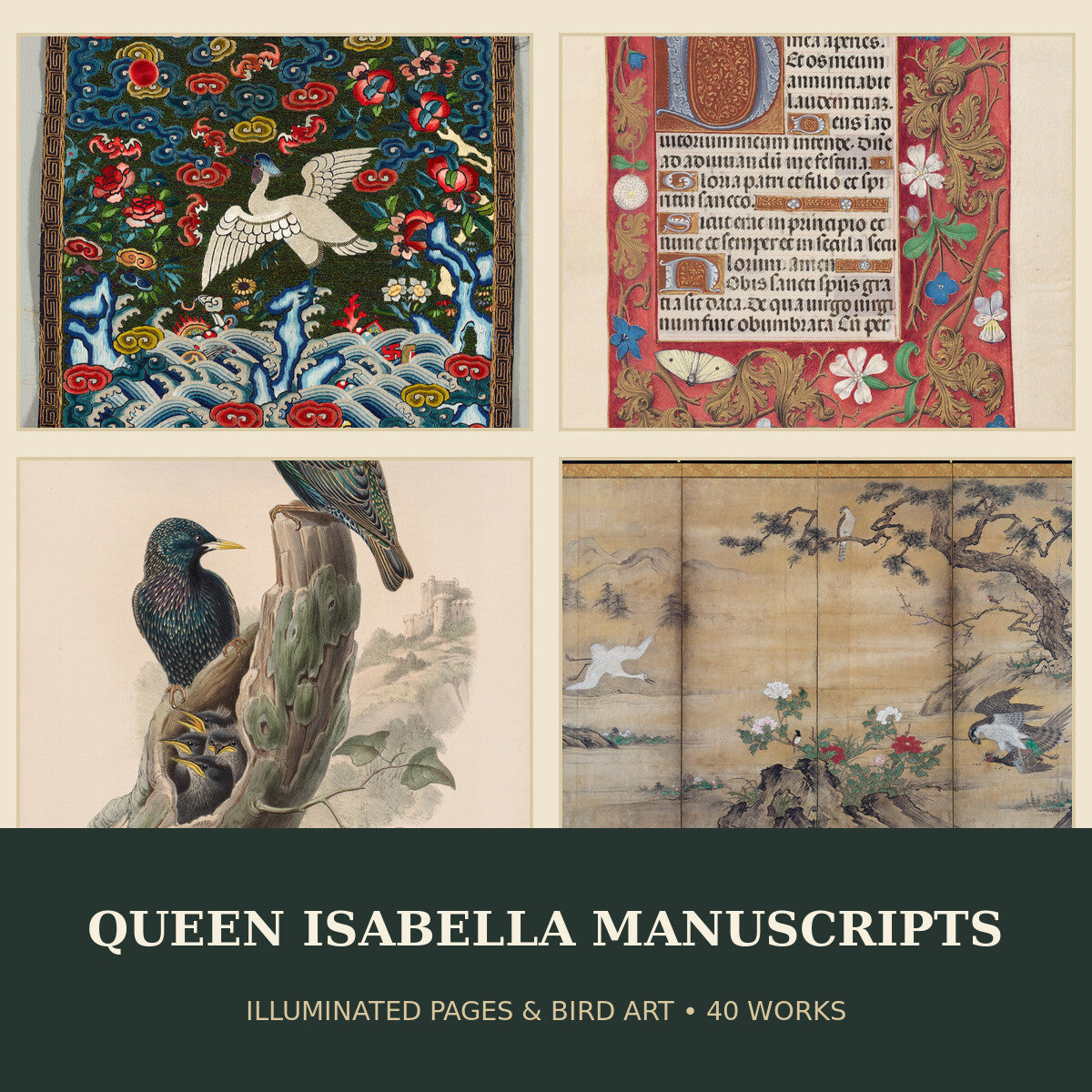 Collage of illuminated Queen Isabella manuscript pages and bird artworks included in the 40-work digital collection