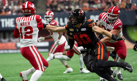 139 American Football eBooks – Digital Collection in ZIP File for Coaches, Fans and Historians