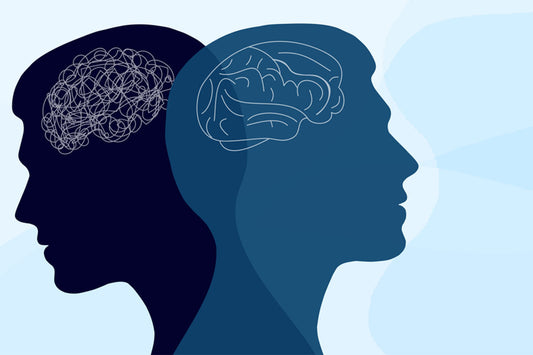 Explore Human Mind and Behavior with 13 Essential Psychology eBooks – Instant Download .ZIP Digital Files