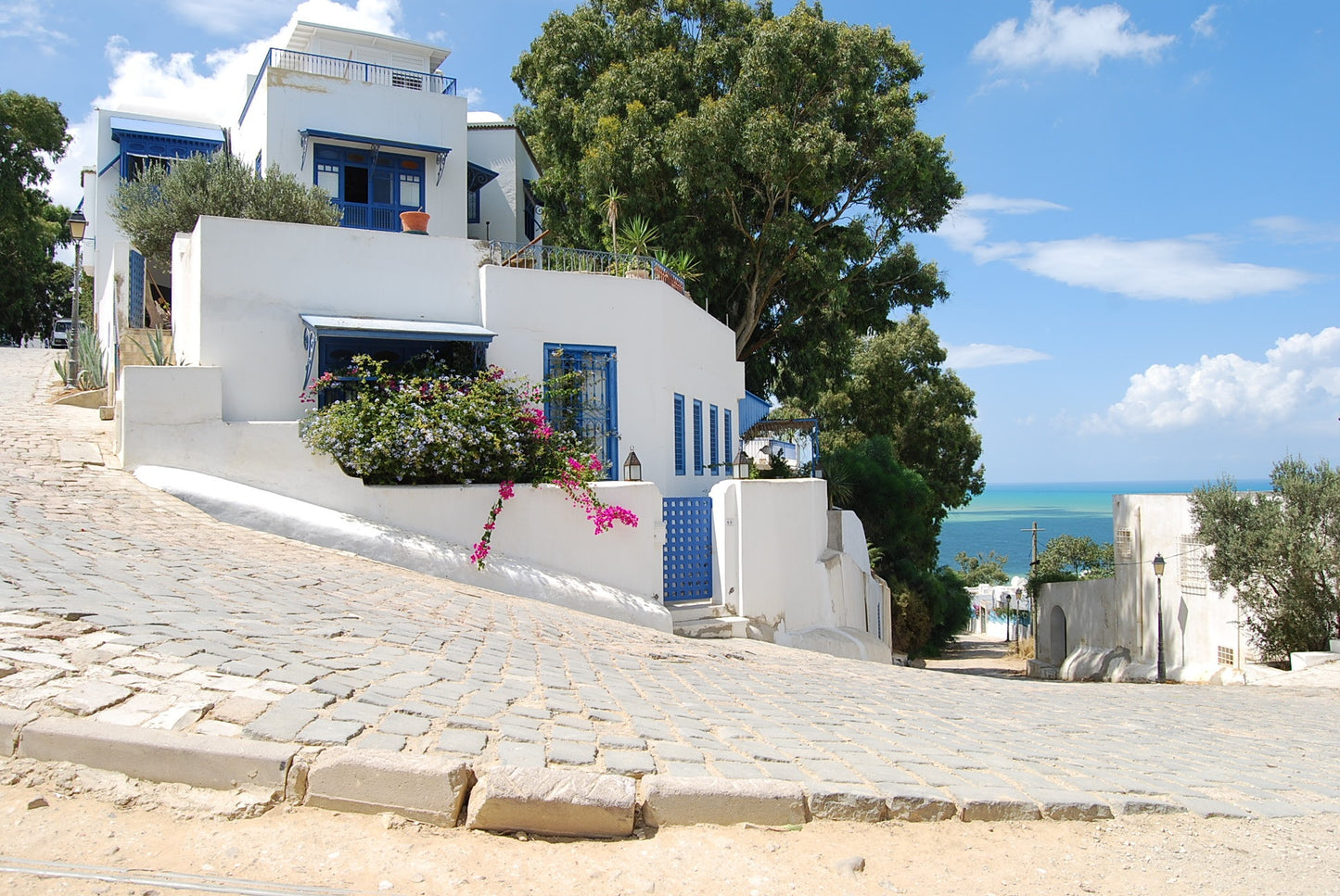 265 Digital Photos of Tunisia | High-Resolution Images | Instant Download