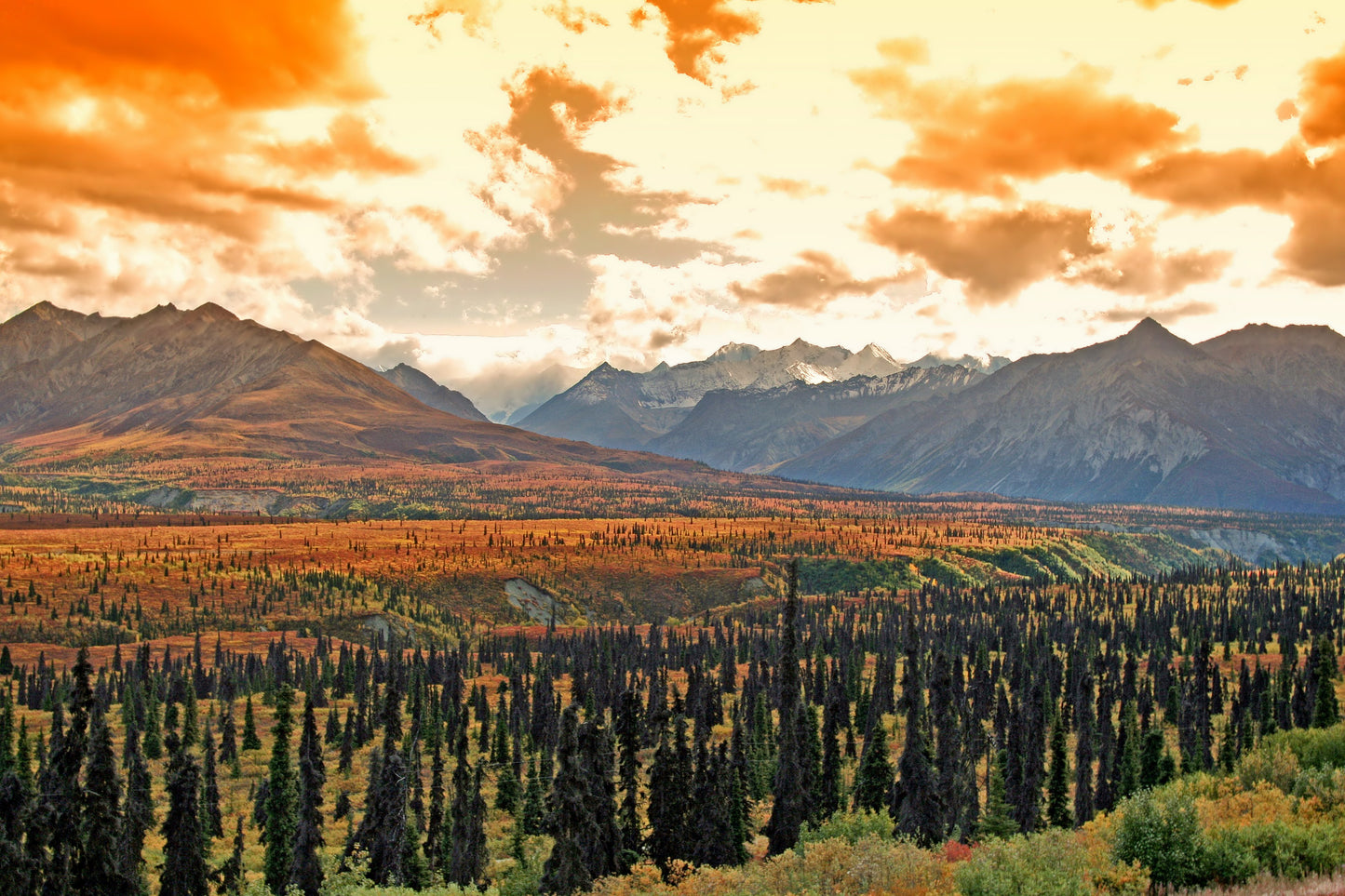 Alaska Landscape Photos Bundle – 420 High Resolution Images (Color, Black & White, Sepia) | Instant Download Wall Art