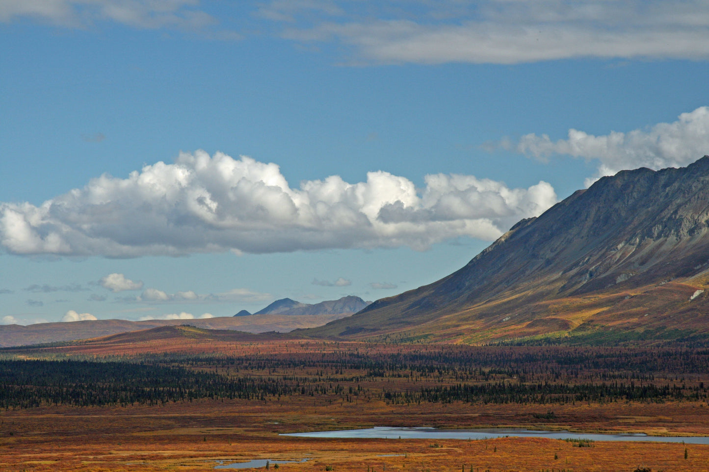 Alaska Landscape Photos Bundle – 420 High Resolution Images (Color, Black & White, Sepia) | Instant Download Wall Art