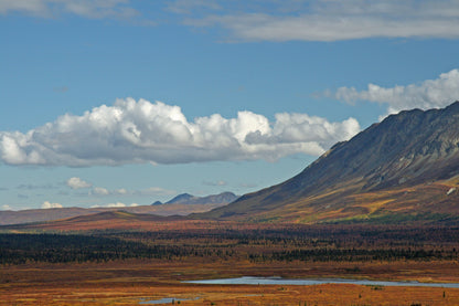 Alaska Landscape Photos Bundle – 420 High Resolution Images (Color, Black & White, Sepia) | Instant Download Wall Art