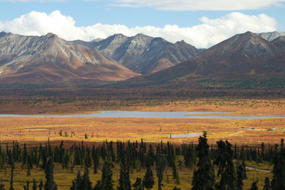 Alaska Landscape Photos Bundle – 420 High Resolution Images (Color, Black & White, Sepia) | Instant Download Wall Art