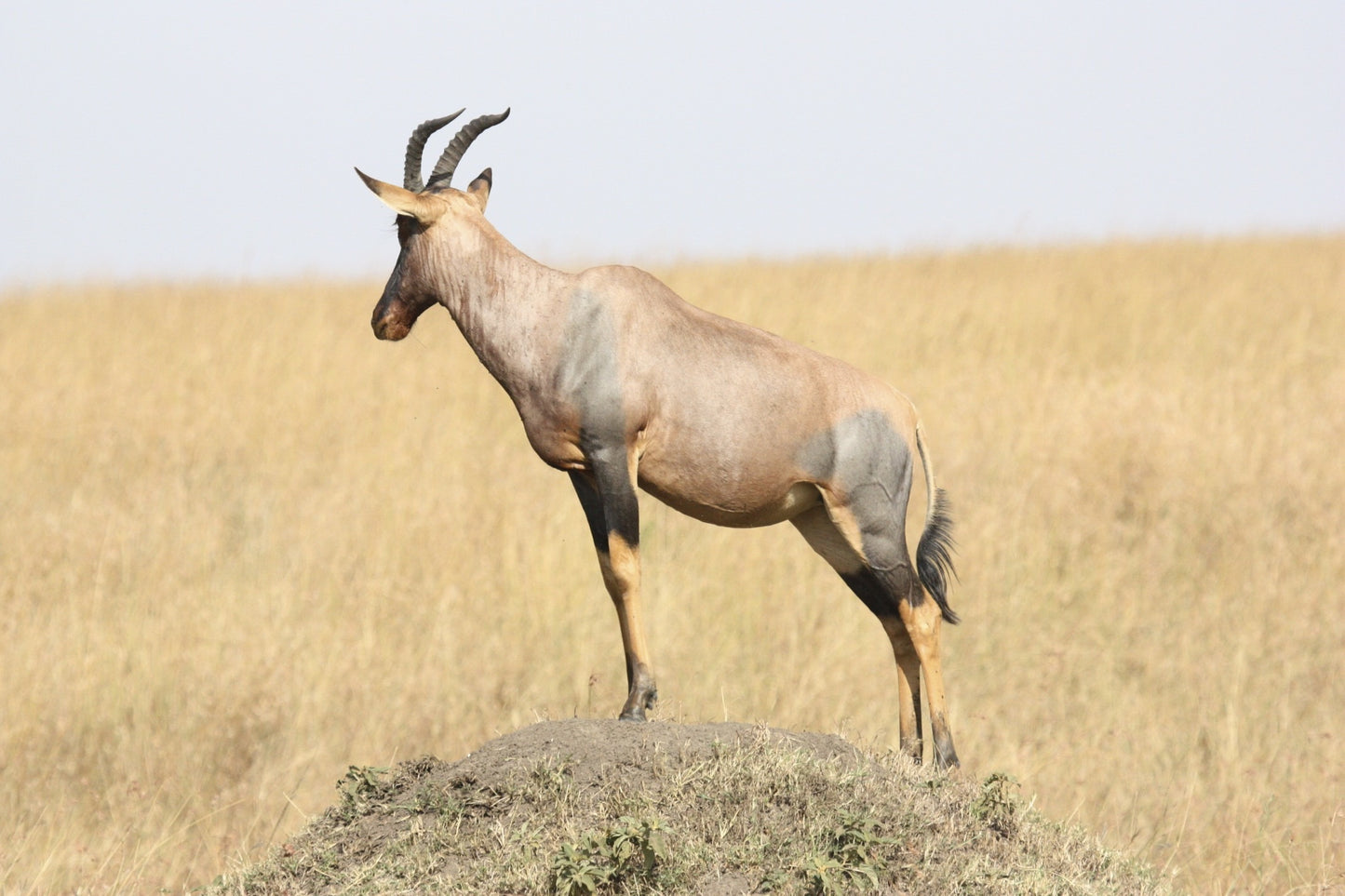 395 Digital Photos of Tanzania | High-Resolution Images | Instant Download