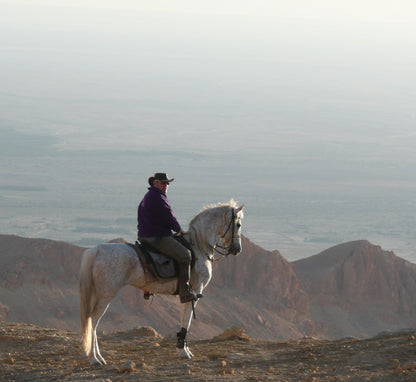 265 Digital Photos of Tunisia | High-Resolution Images | Instant Download