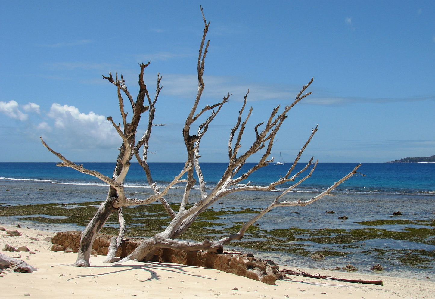 179 Digital Photos of Seychelles | High-Resolution Tropical Images | Instant Download