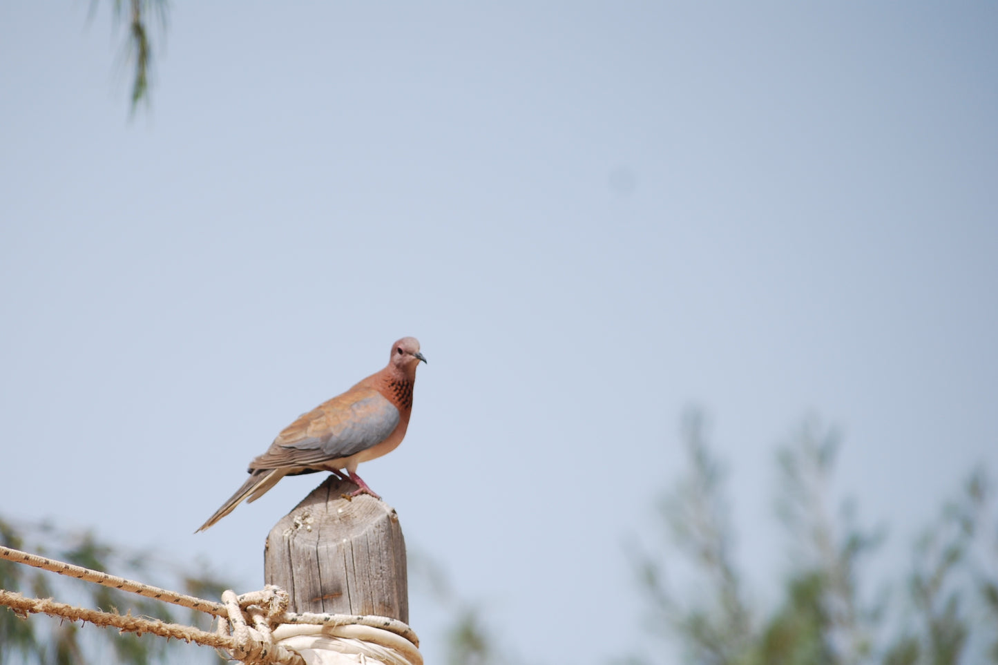 82 Digital Photos of Senegal | High-Resolution Images | Instant Download