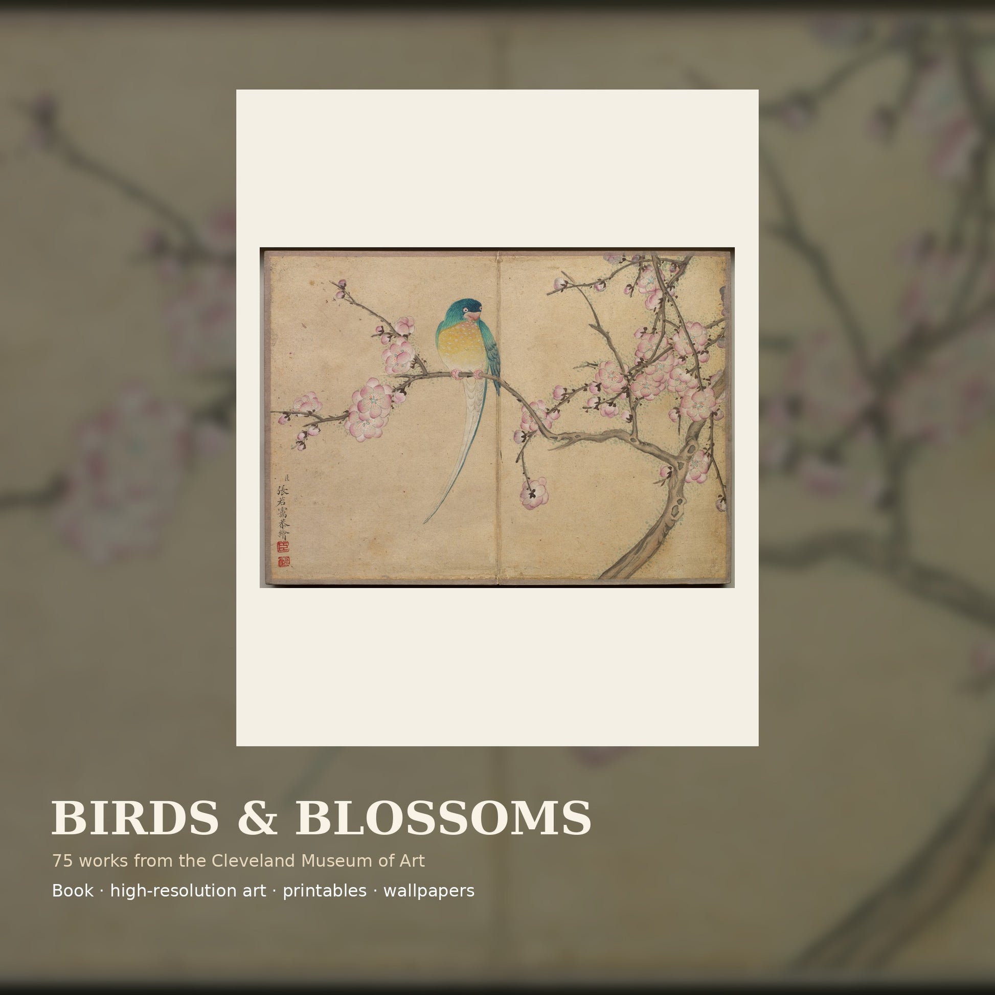Birds and Blossoms premium digital collection with 75 museum artworks