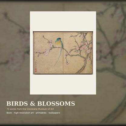 Birds and Blossoms premium digital collection with 75 museum artworks