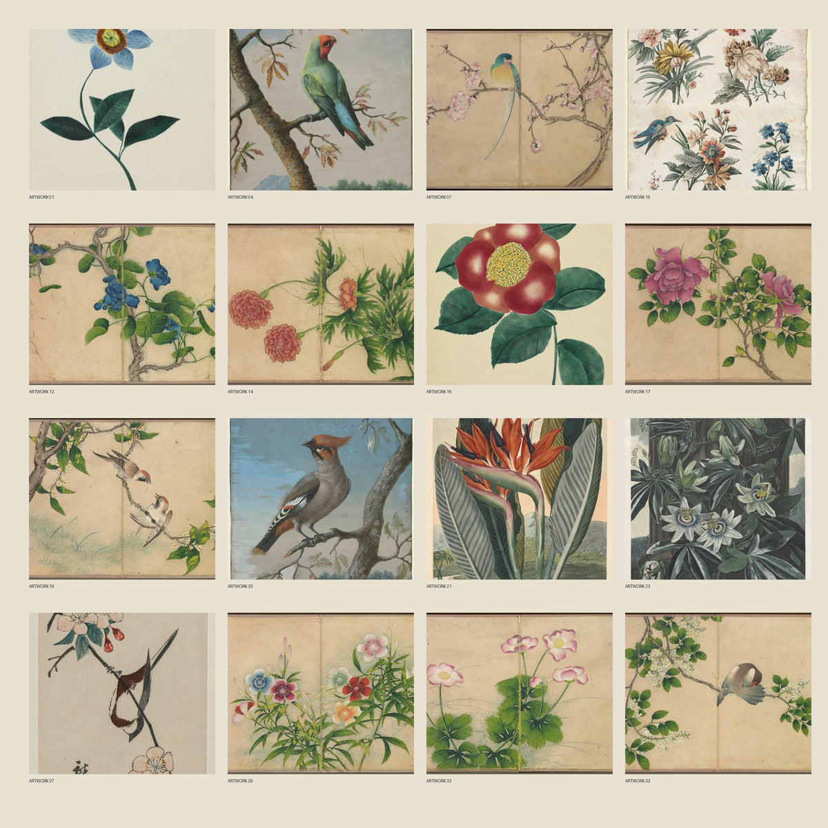 Preview of vintage bird and botanical artworks included in Birds and Blossoms