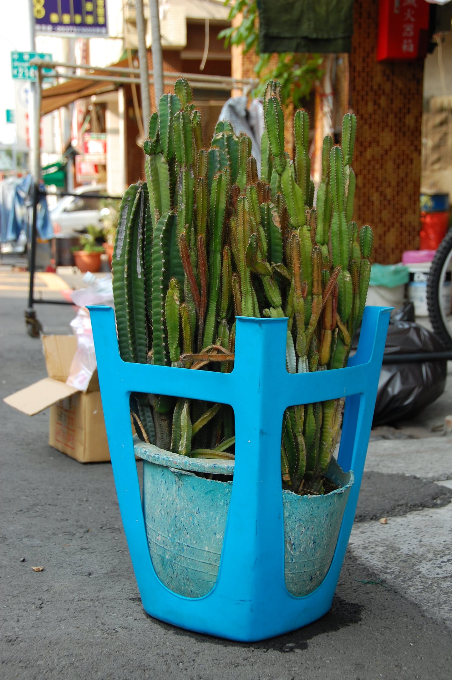 365 Digital Photos of Taiwan | High-Resolution Images | Instant Download