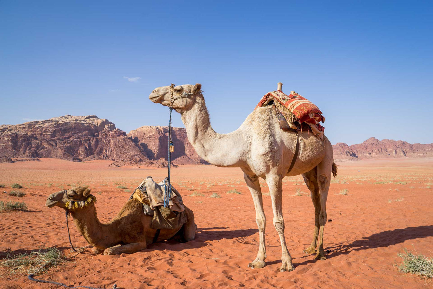 Jordan Landscape & Historical Photos Bundle – 225 High Resolution Images (Color, Black & White, Sepia) | Instant Download Wall Art