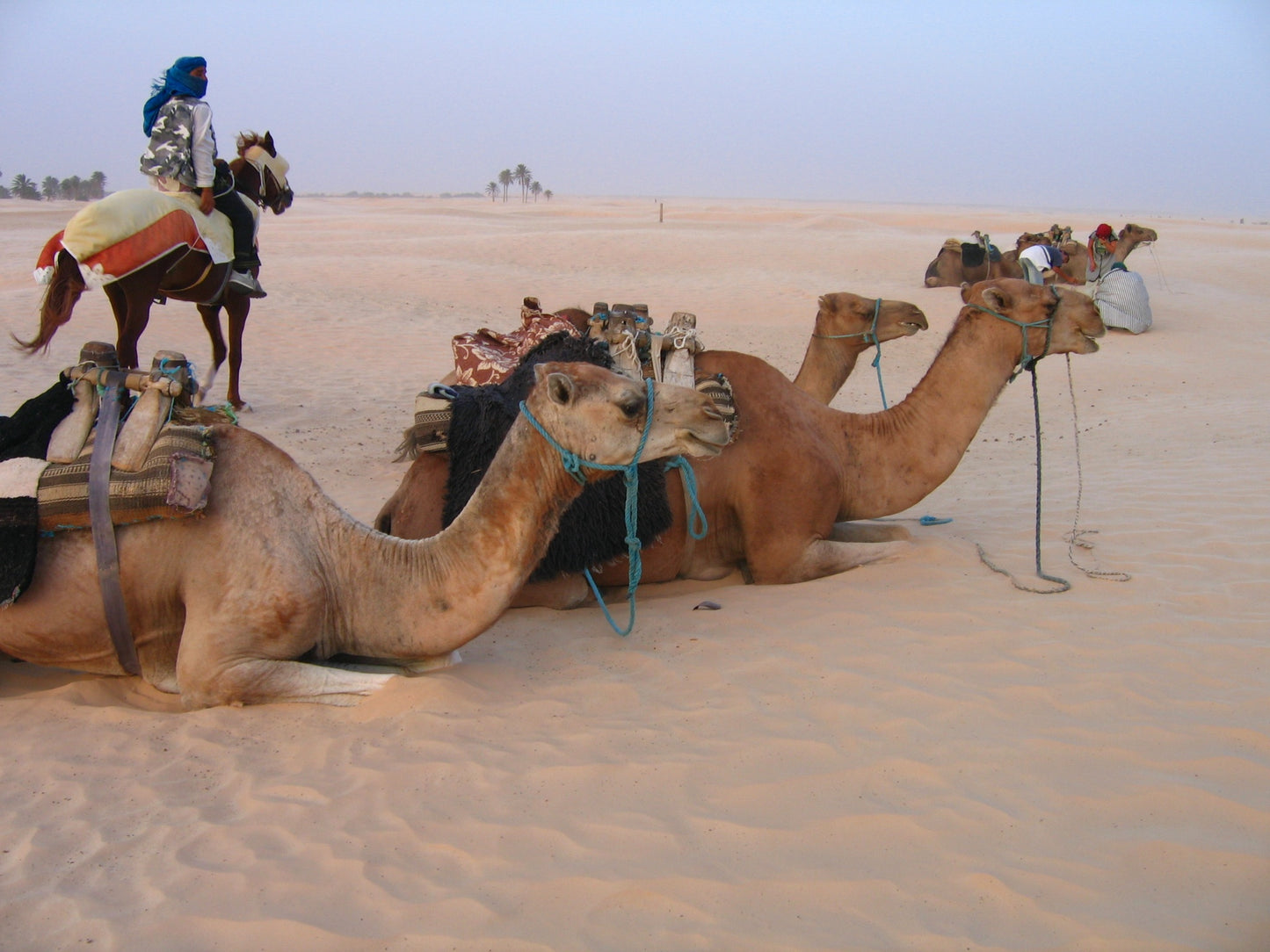 265 Digital Photos of Tunisia | High-Resolution Images | Instant Download