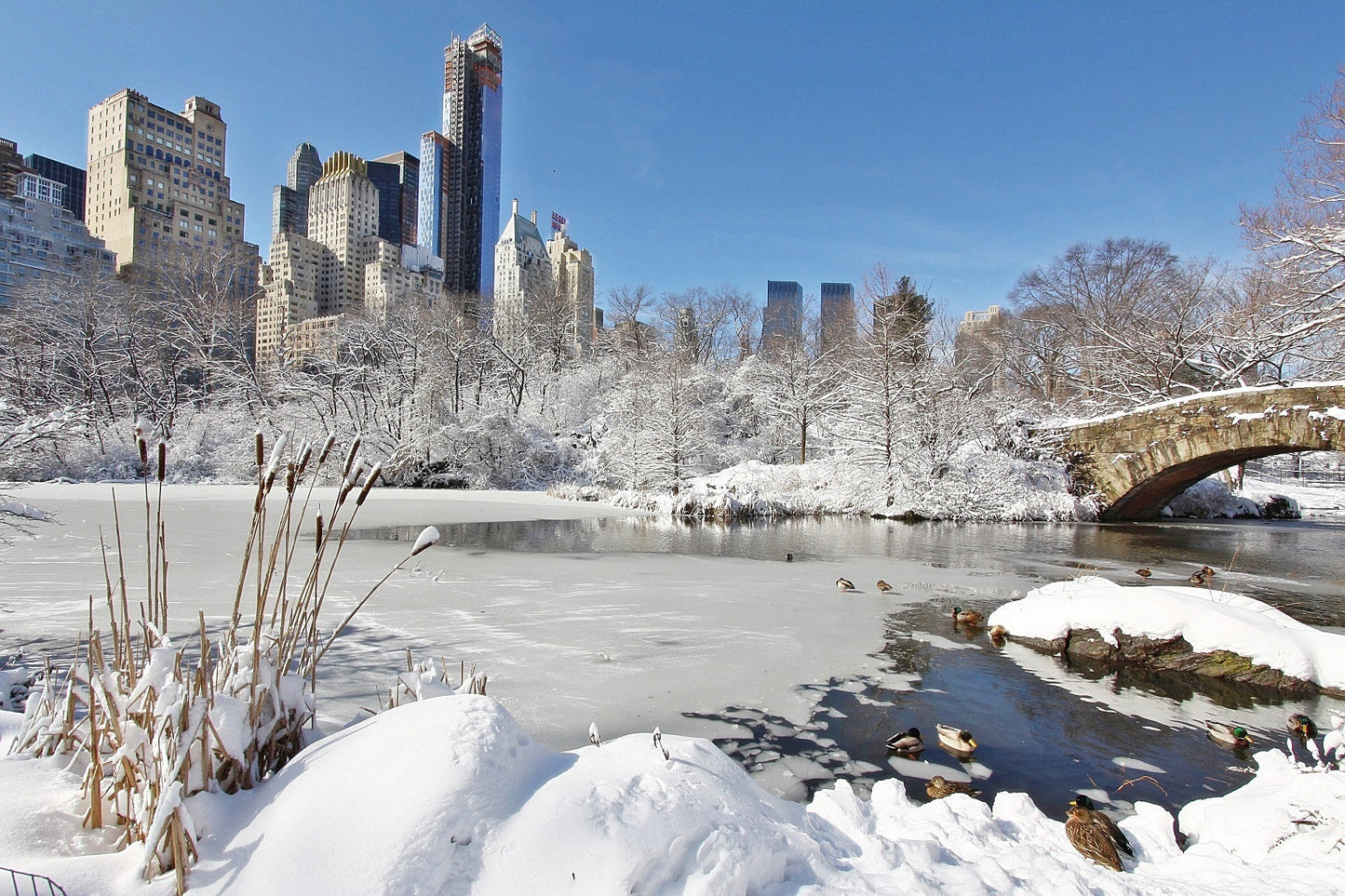 1100 Photos of New York – Color – Icons of the Big Apple instant download