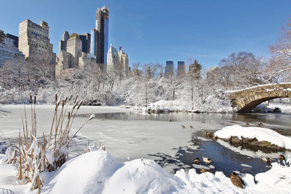 1100 Photos of New York – Color – Icons of the Big Apple instant download