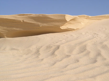 265 Digital Photos of Tunisia | High-Resolution Images | Instant Download