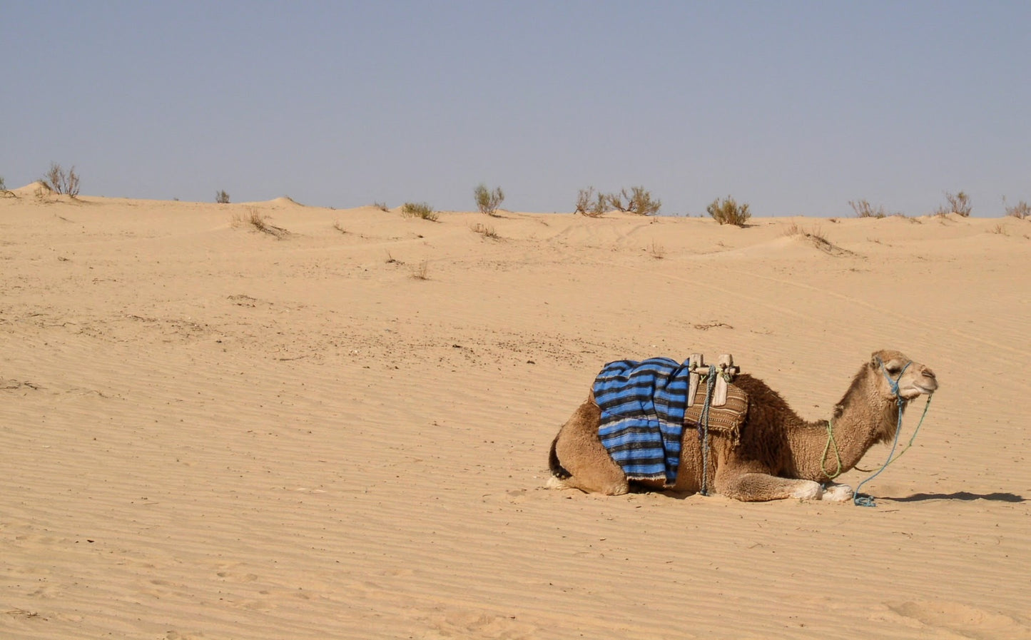 265 Digital Photos of Tunisia | High-Resolution Images | Instant Download