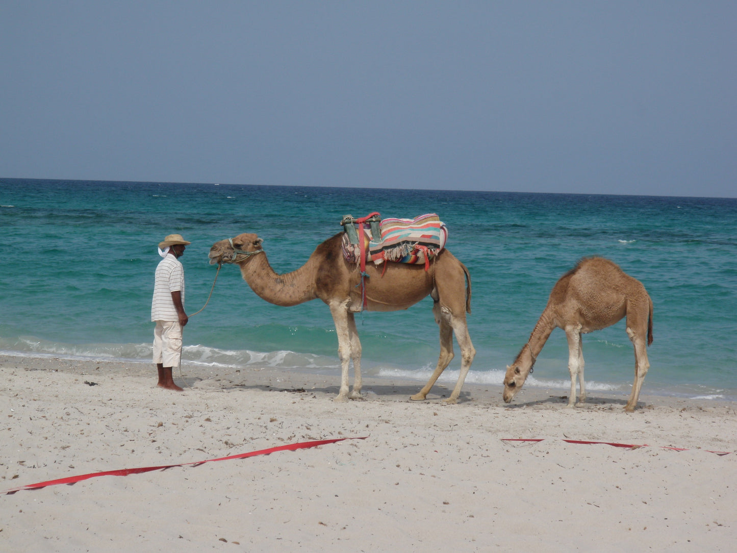 265 Digital Photos of Tunisia | High-Resolution Images | Instant Download
