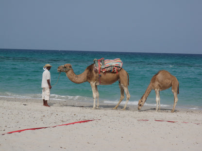 265 Digital Photos of Tunisia | High-Resolution Images | Instant Download