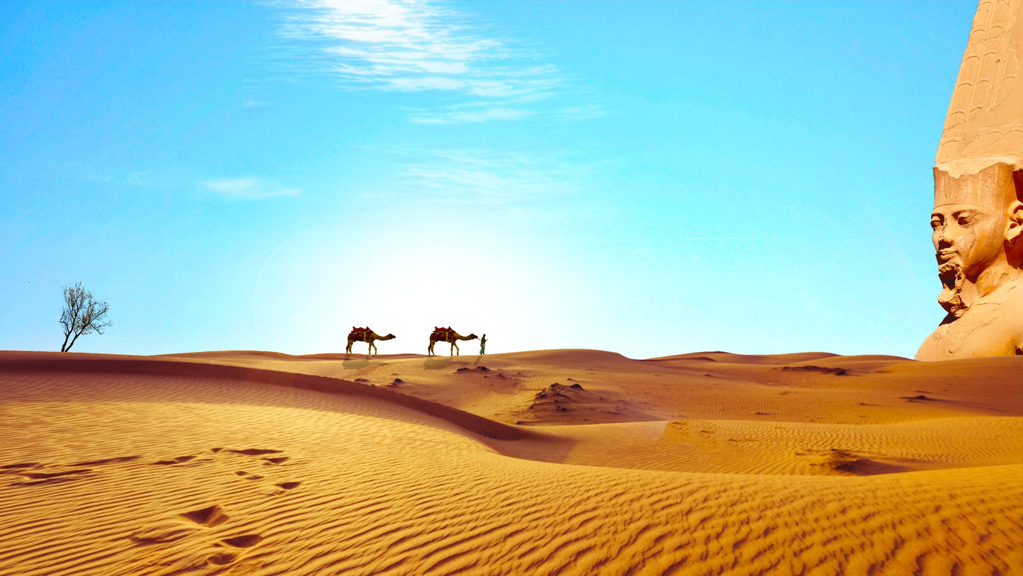 Egypt Landscape & Historical Photos Bundle – 350 High Resolution Images (Color, Black & White, Sepia) | Instant Download Wall Art