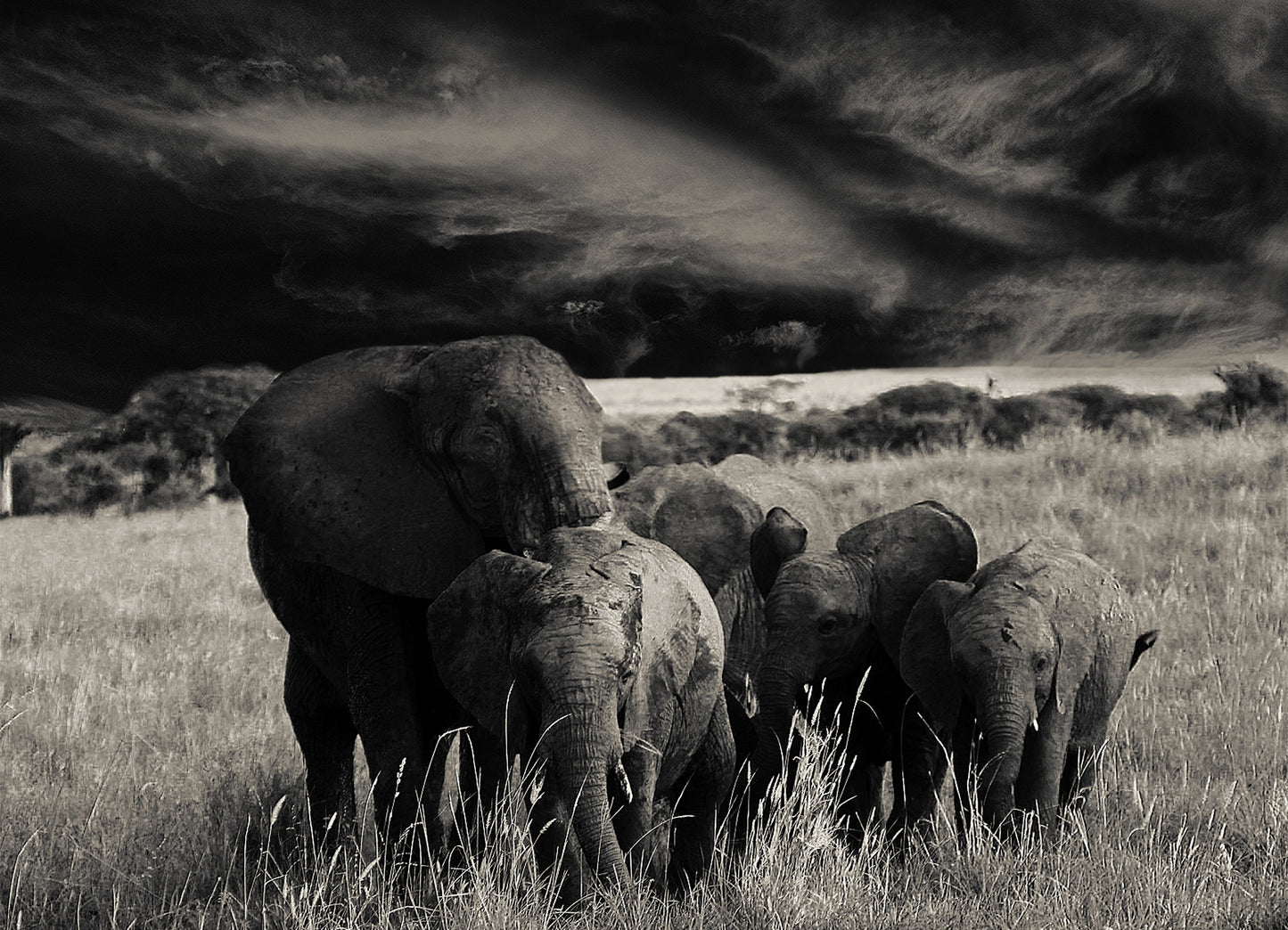 395 Digital Photos of Tanzania | High-Resolution Images | Instant Download