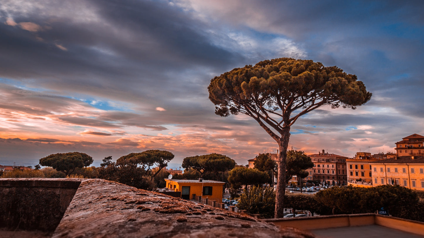 Rome Photo Bundle – 350 High Resolution Images (Color, Black & White & Sepia)  Instant Download