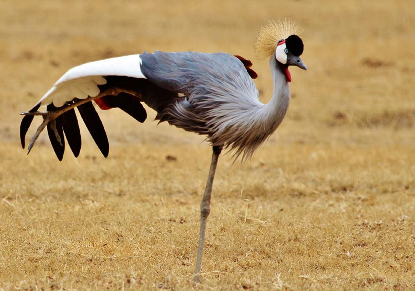 395 Digital Photos of Tanzania | High-Resolution Images | Instant Download