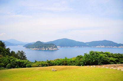 142 Digital Photos of South Korea | High-Resolution Images | Instant Download