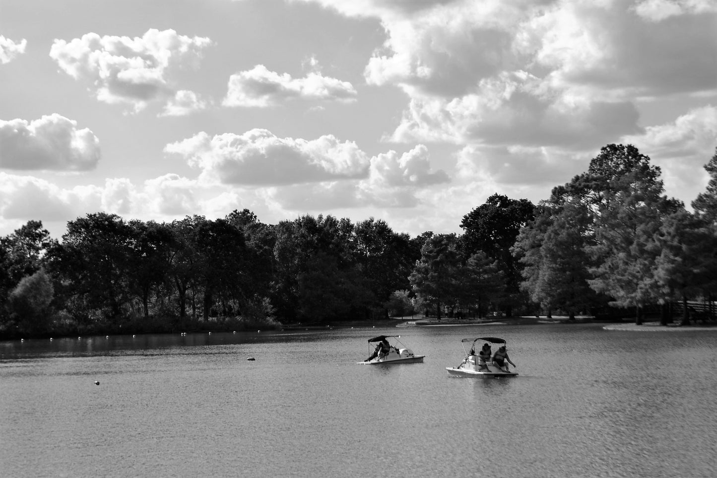 Houston Texas City Photos Bundle – 90 High Resolution Images (Color, Black & White, Sepia) | Instant Download Wall Art