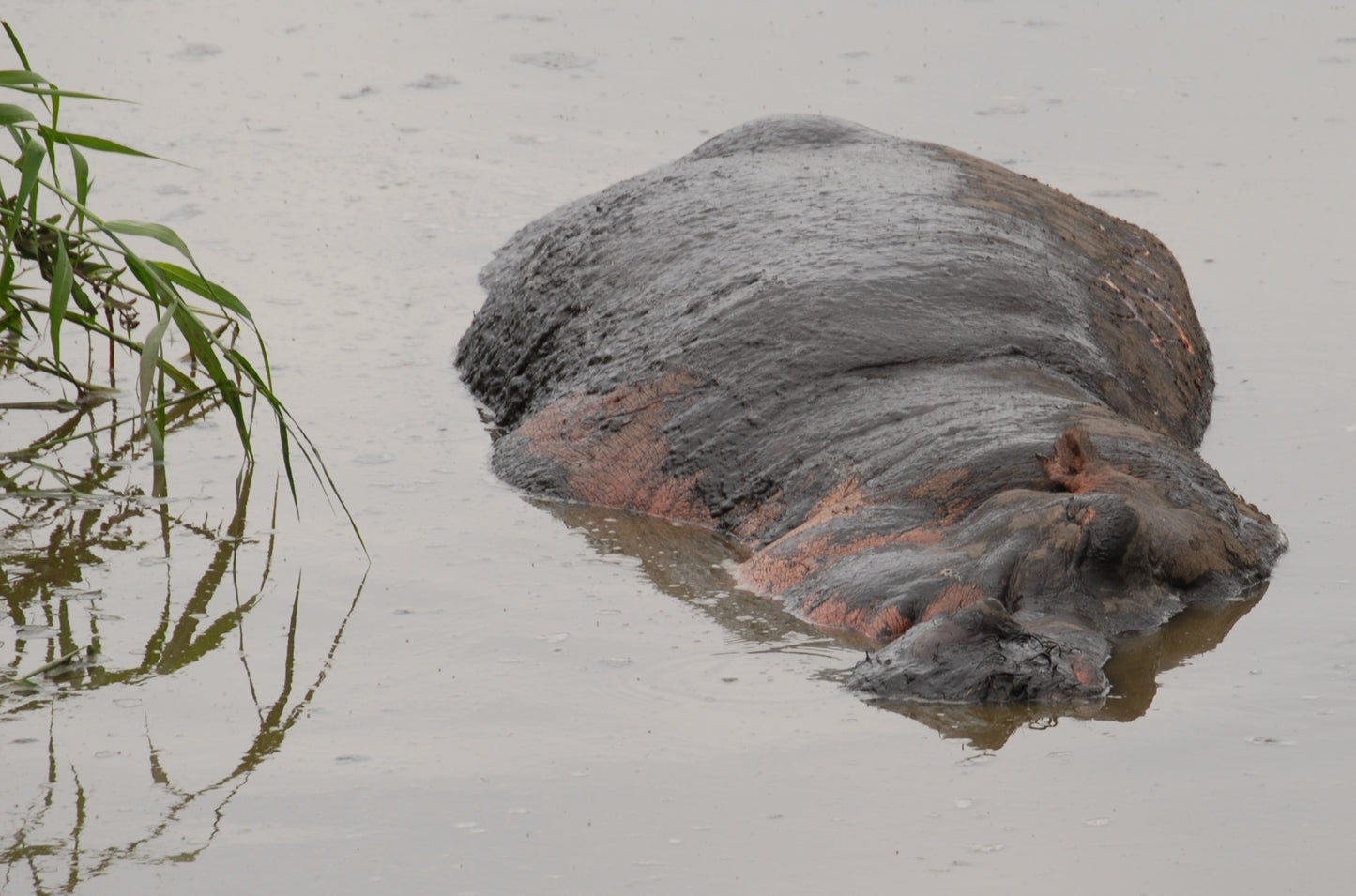395 Digital Photos of Tanzania | High-Resolution Images | Instant Download
