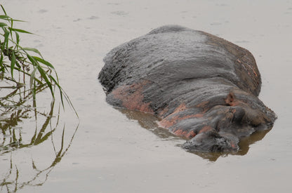 395 Digital Photos of Tanzania | High-Resolution Images | Instant Download