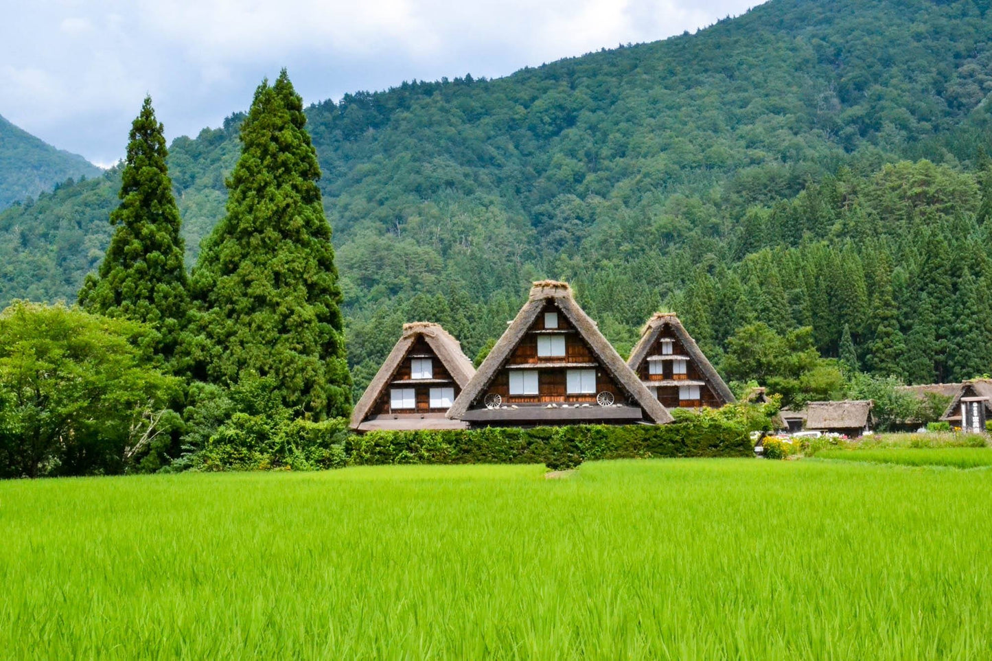 Japan Landscape & City Photos Bundle – 250 High Resolution Images (Color, Black & White, Sepia) | Instant Download Wall Art