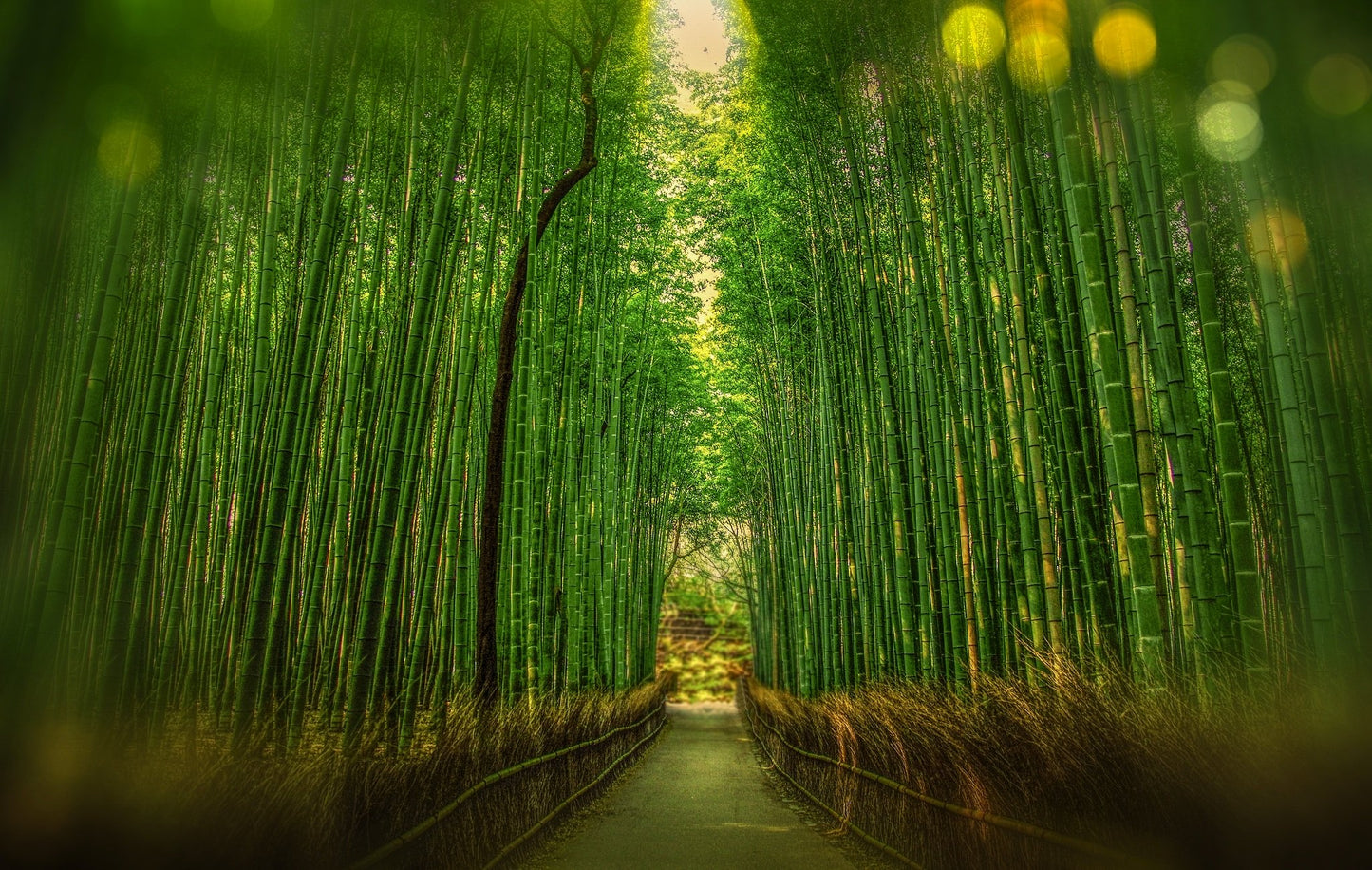 Japan Landscape & City Photos Bundle – 250 High Resolution Images (Color, Black & White, Sepia) | Instant Download Wall Art