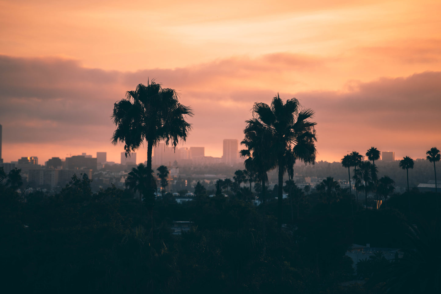 Digital Photos of Los Angeles Instant Downloadable High-Resolution Images
