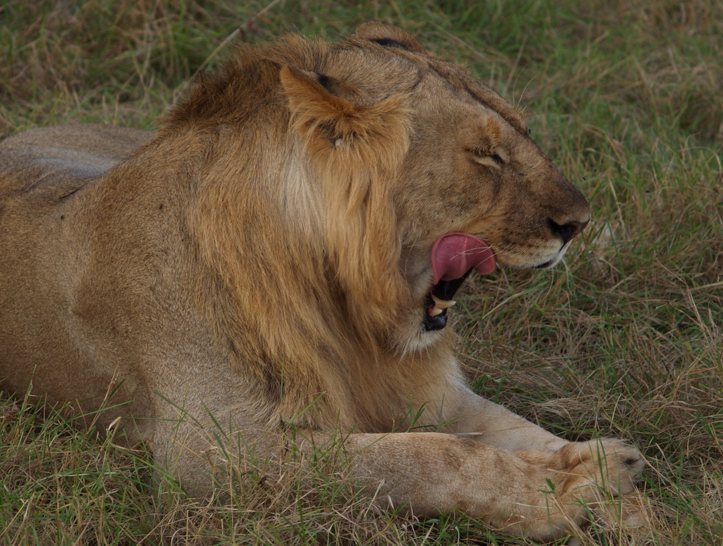 395 Digital Photos of Tanzania | High-Resolution Images | Instant Download