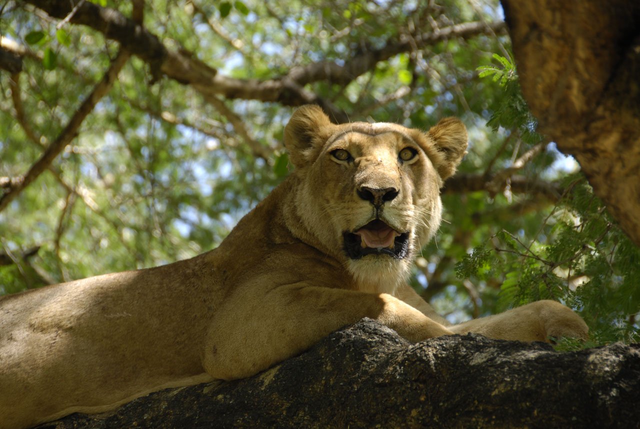 395 Digital Photos of Tanzania | High-Resolution Images | Instant Download