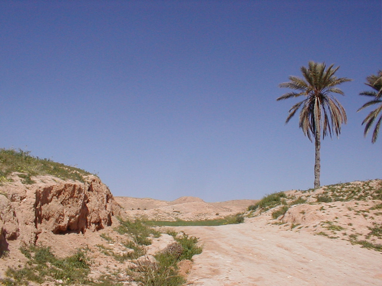 265 Digital Photos of Tunisia | High-Resolution Images | Instant Download