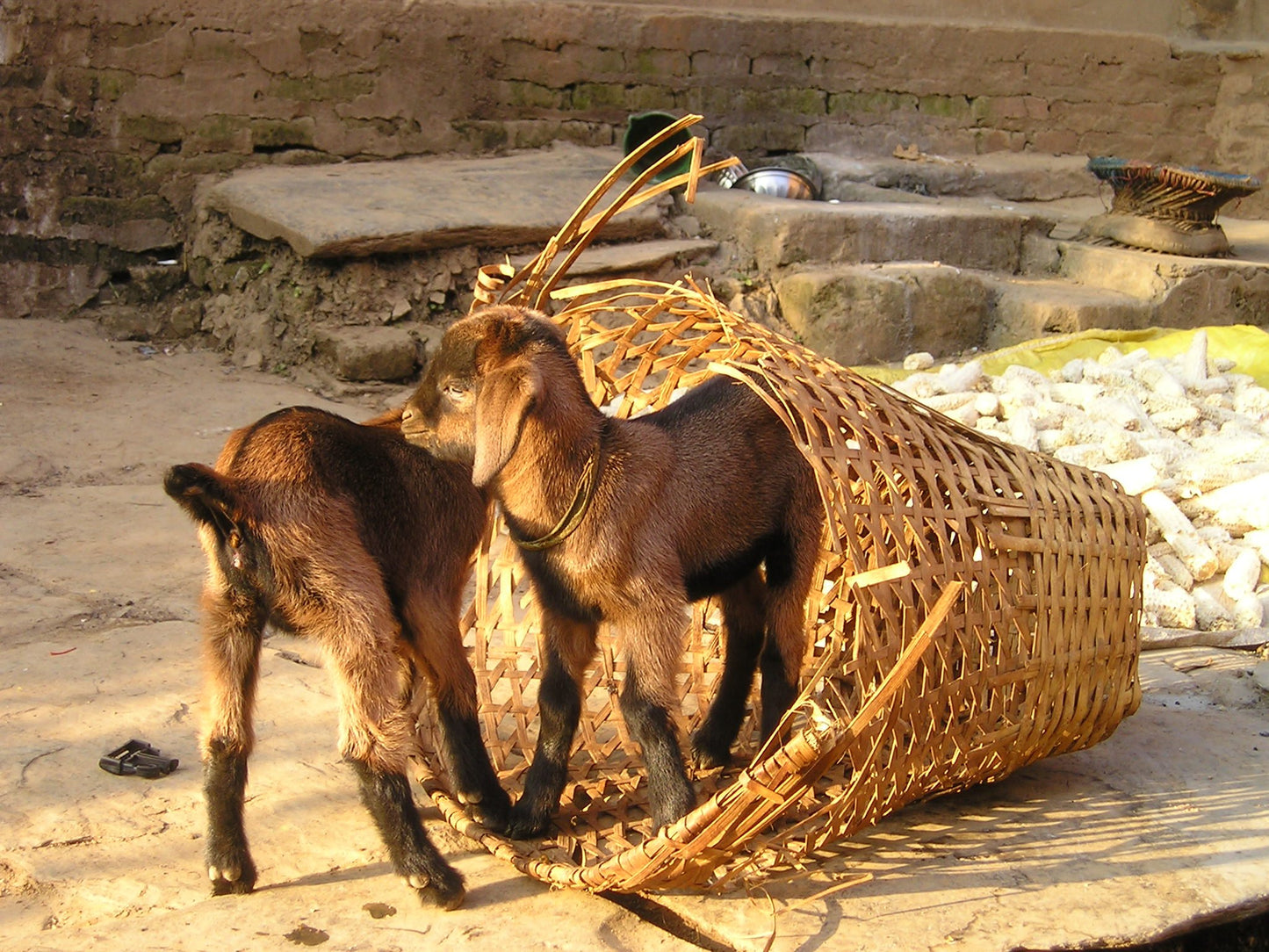 550 Photos of Nepal – Color, Black & White & Sepia – Stunning Landscapes & Cultural Icons