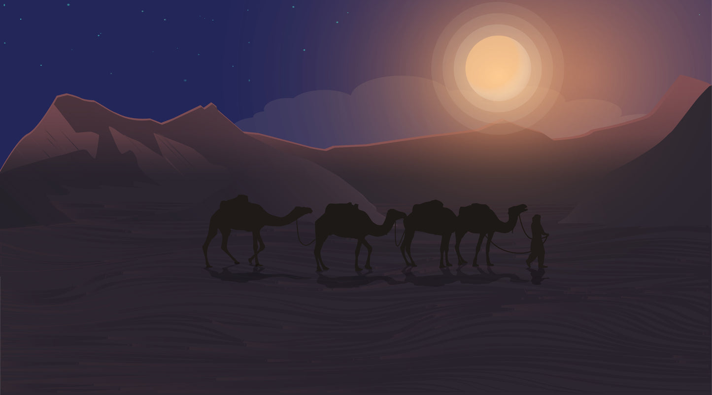 265 Digital Photos of Tunisia | High-Resolution Images | Instant Download
