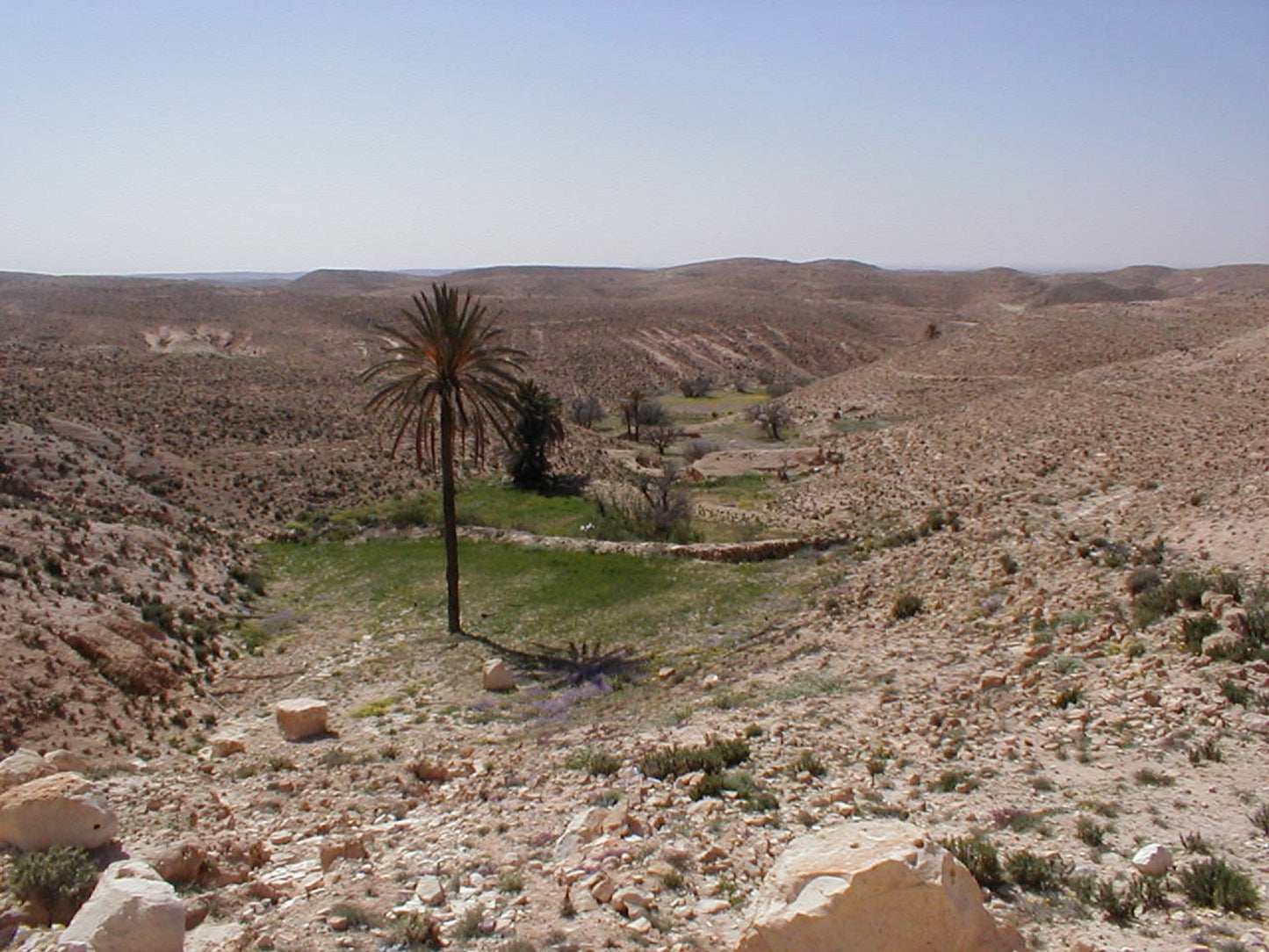 265 Digital Photos of Tunisia | High-Resolution Images | Instant Download