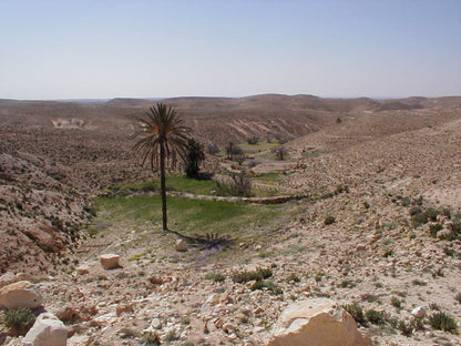 265 Digital Photos of Tunisia | High-Resolution Images | Instant Download