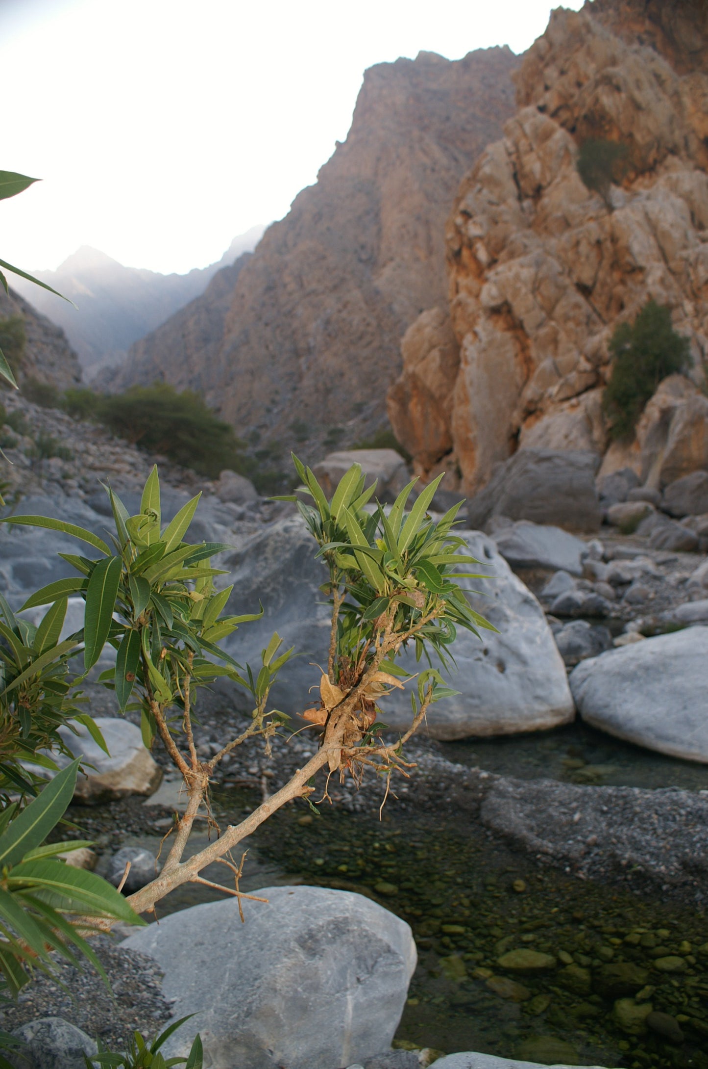 Oman Photo Bundle – 152 High Resolution Images (Color, Black & White & Sepia) Instant Download