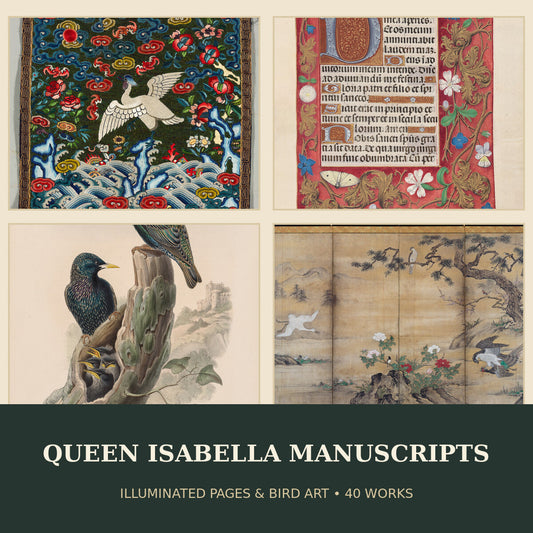 Collage of illuminated Queen Isabella manuscript pages and bird artworks included in the 40-work digital collection