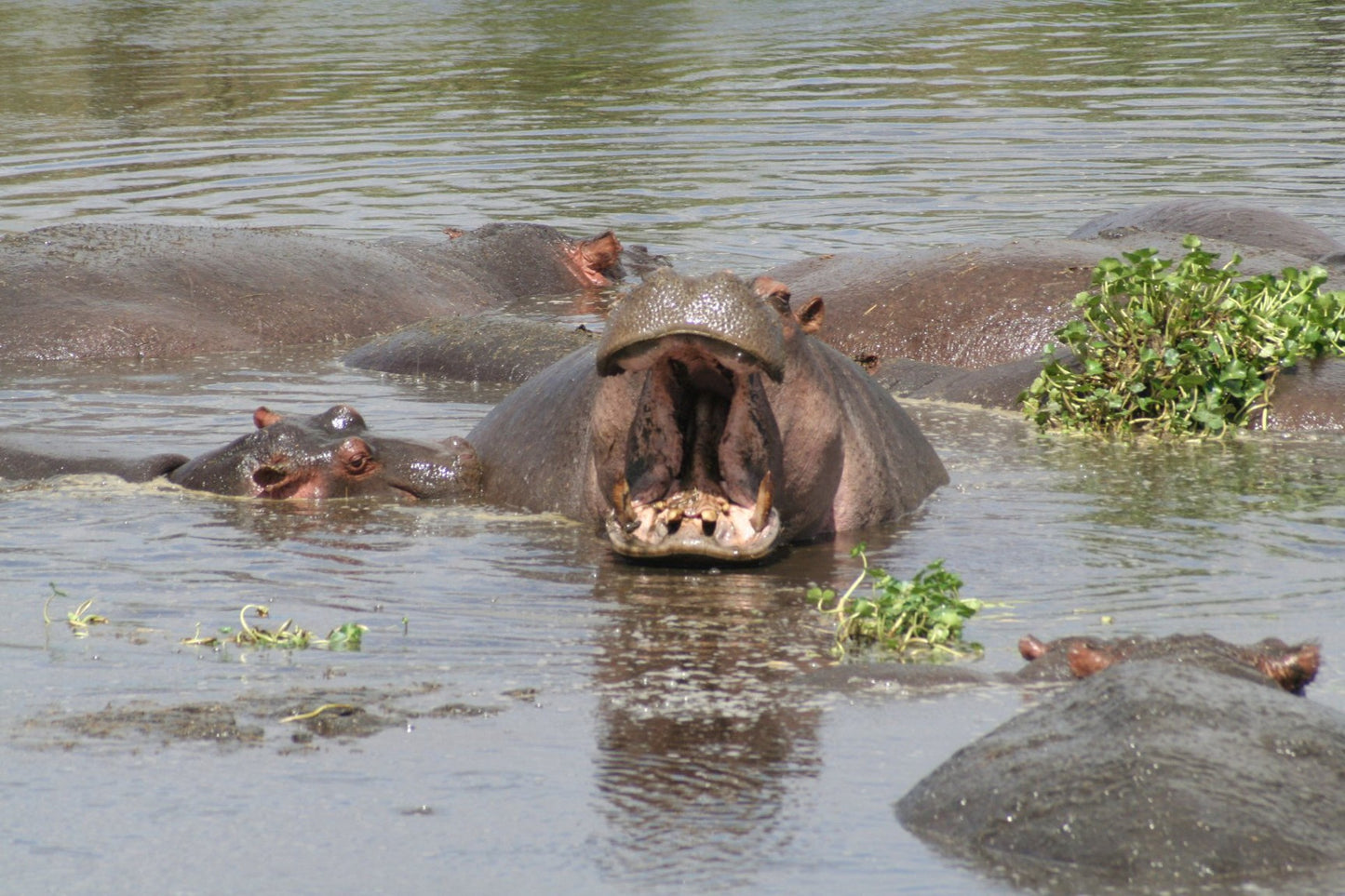 395 Digital Photos of Tanzania | High-Resolution Images | Instant Download
