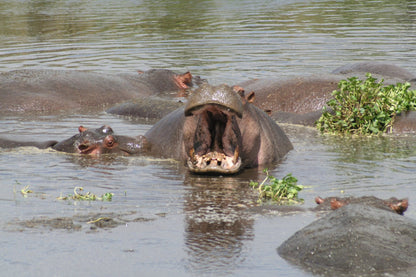 395 Digital Photos of Tanzania | High-Resolution Images | Instant Download